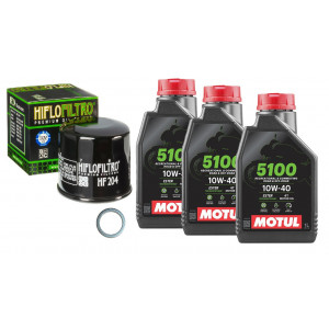 Oil and Filter Change